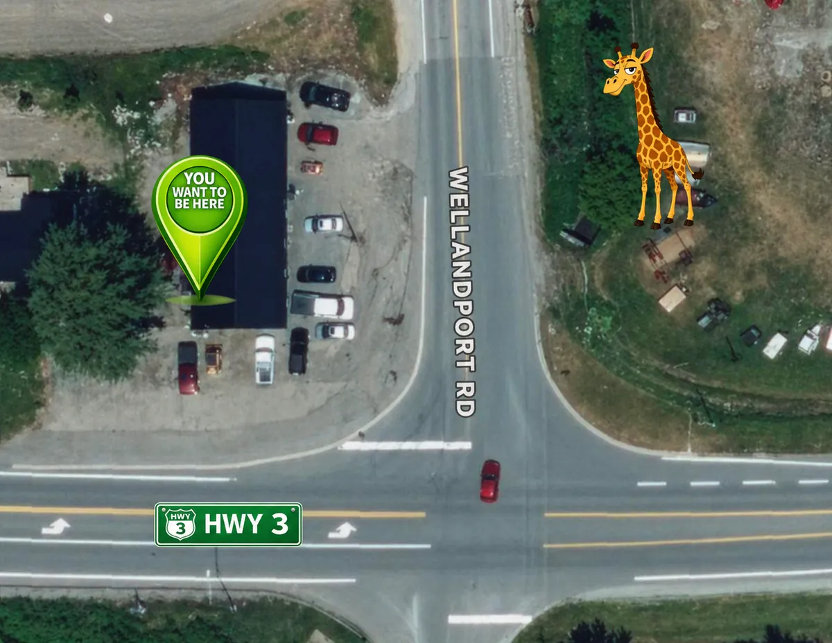 Aerial map of the intersection of Wellandport Rd and Highway 3 with a green location pin marking the shop and a cartoon giraffe